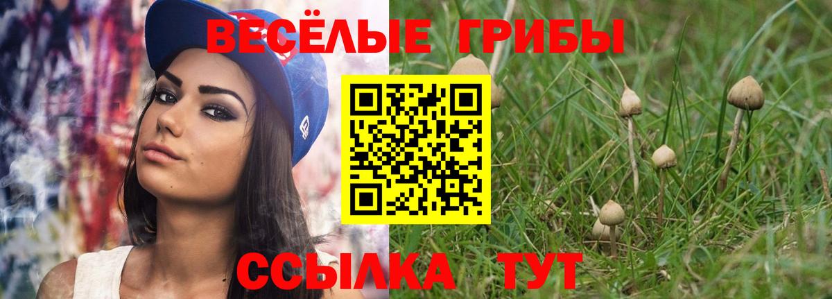 Галлюциногенные грибы Psilocybe Сарапул