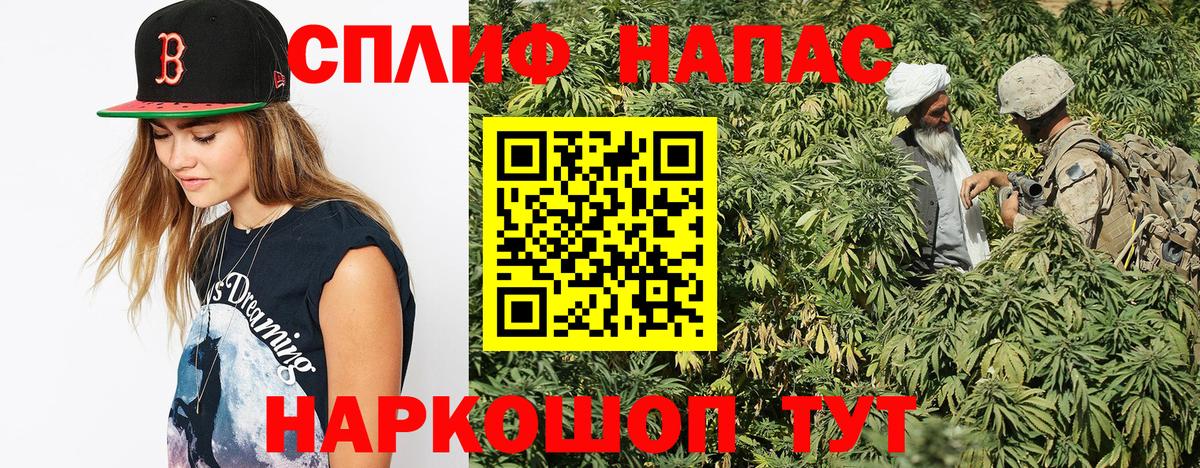Конопля OG Kush Сарапул